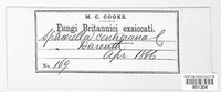 Image Associated With the Occurence